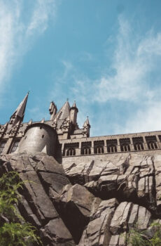 Network maintenance services